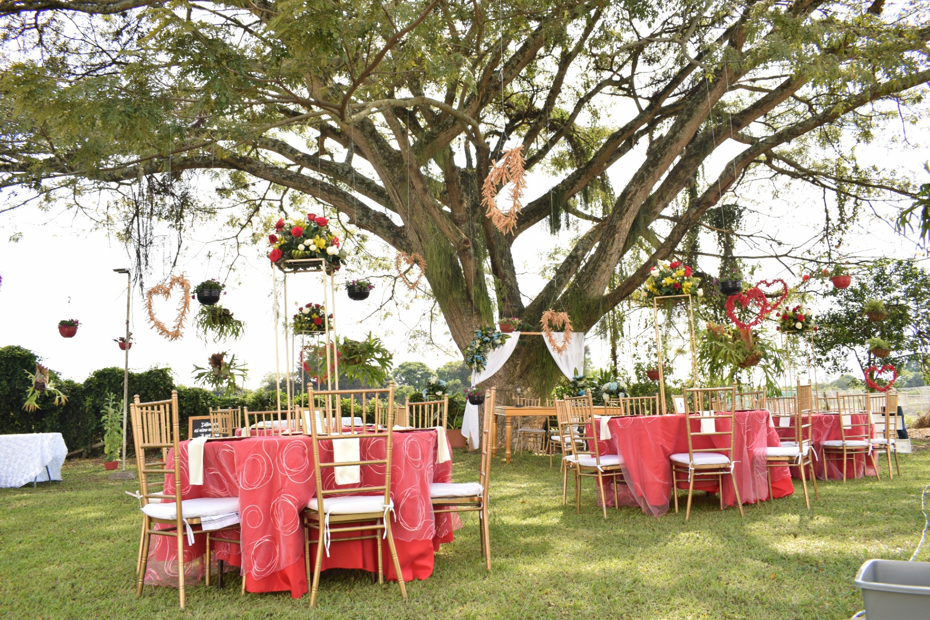 Boda campestre bajo el árbol ceremonial de El Edén Hotel Resort, Valle del Cauca