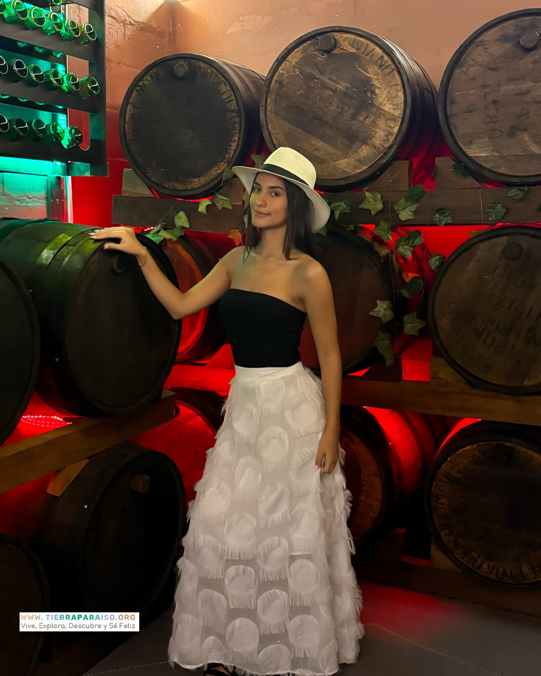 Experiencia en barriles del Wine House