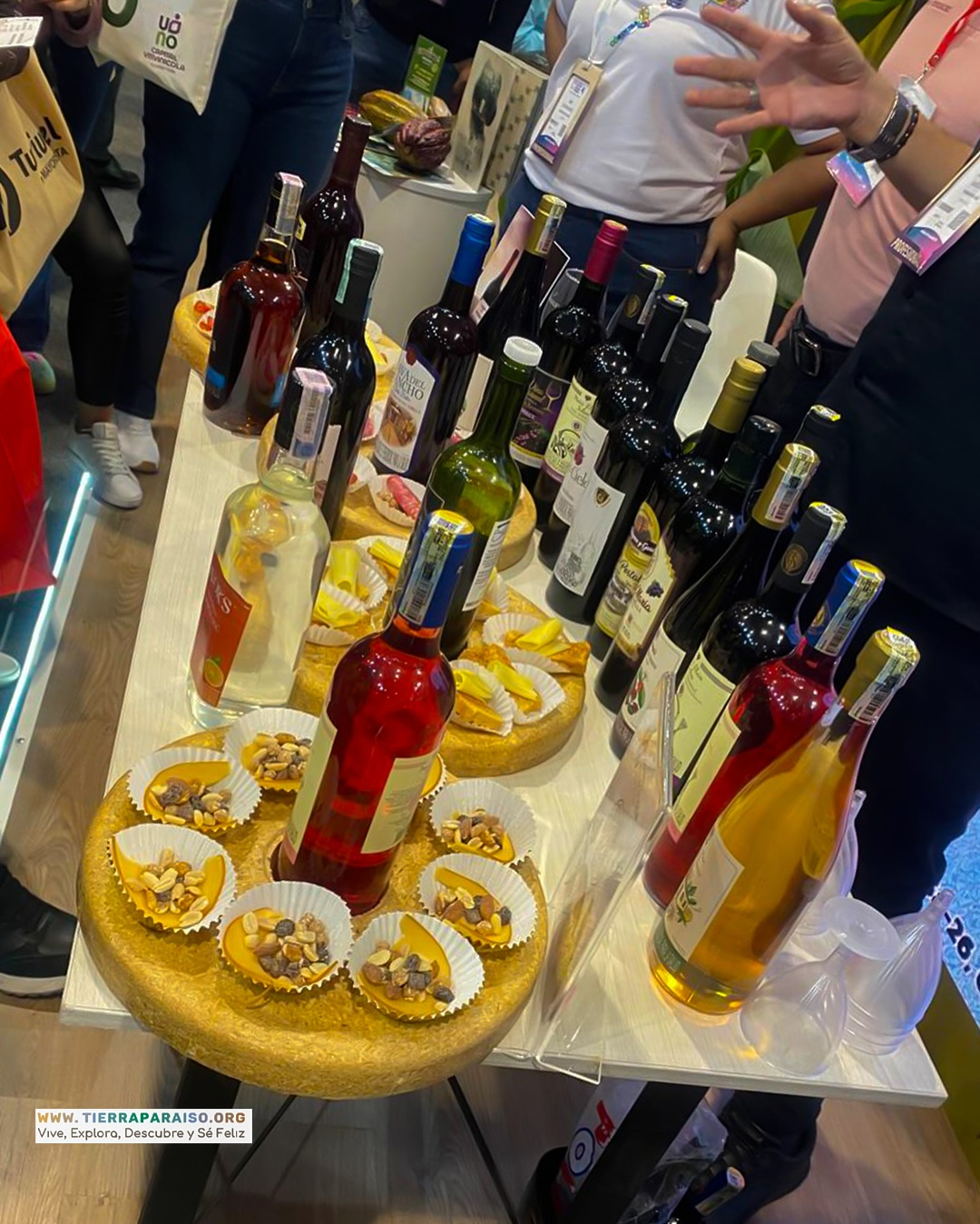 Muestra de vinos en evento especial