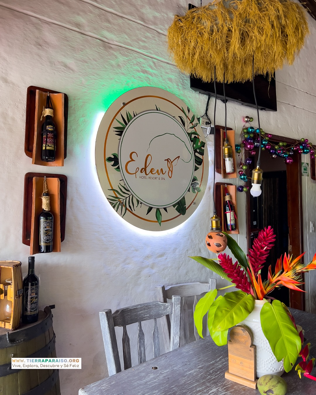 Wine House El Eden - bar de vinos y cócteles