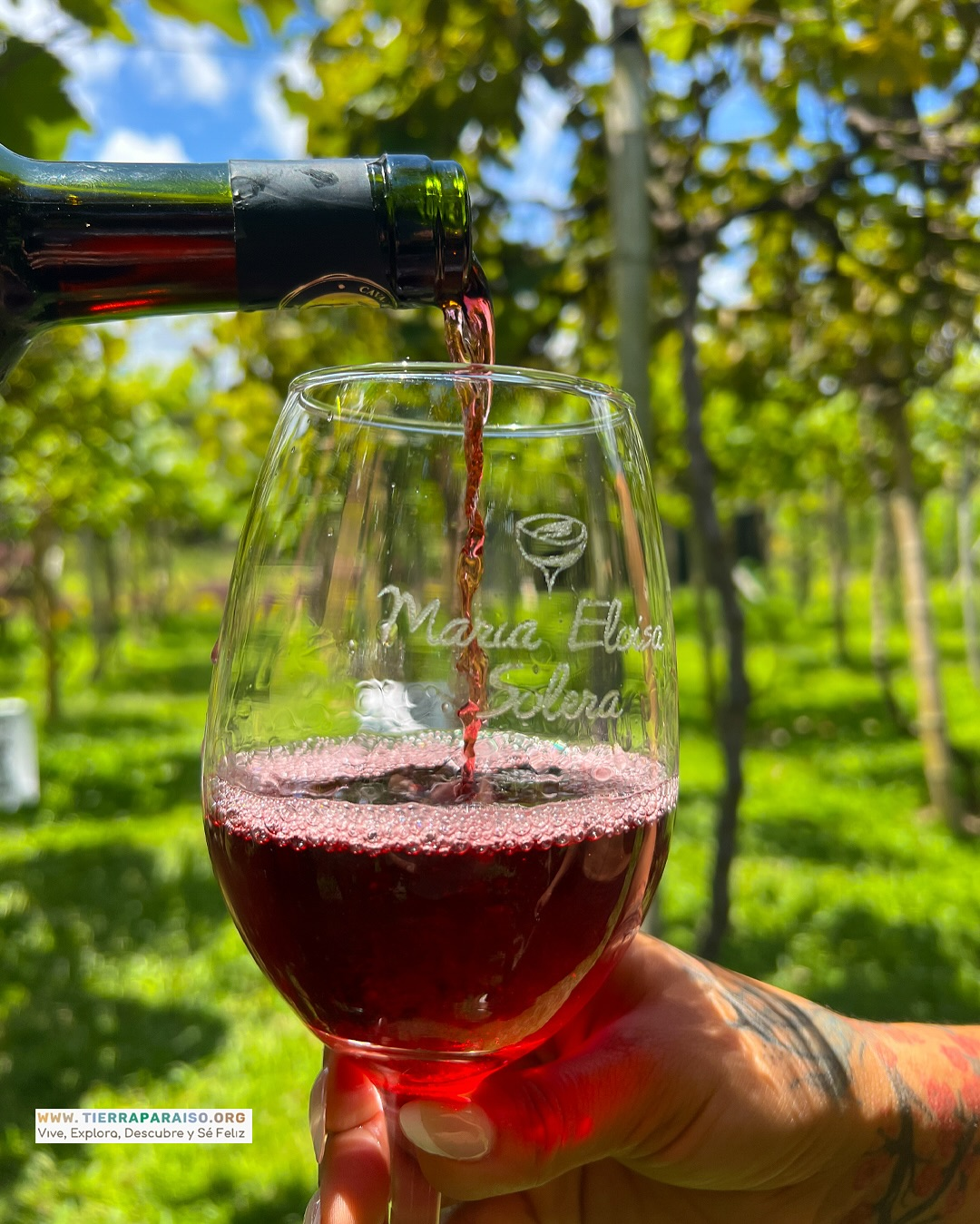 Servicio de vino en copa al aire libre