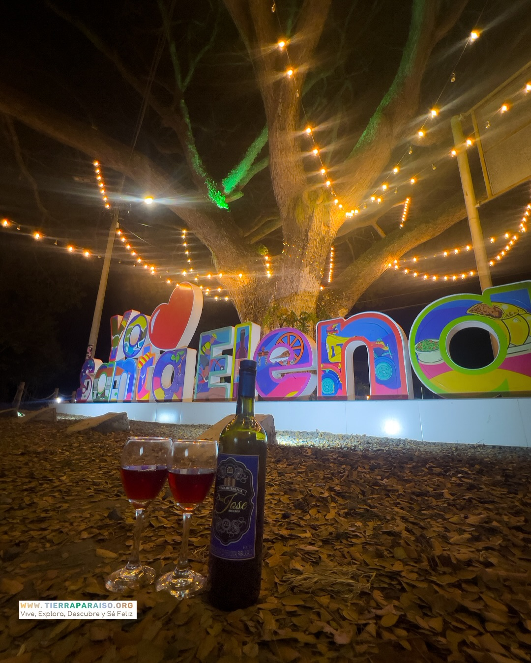 Vino artesanal en Santa Elena bajo luces nocturnas